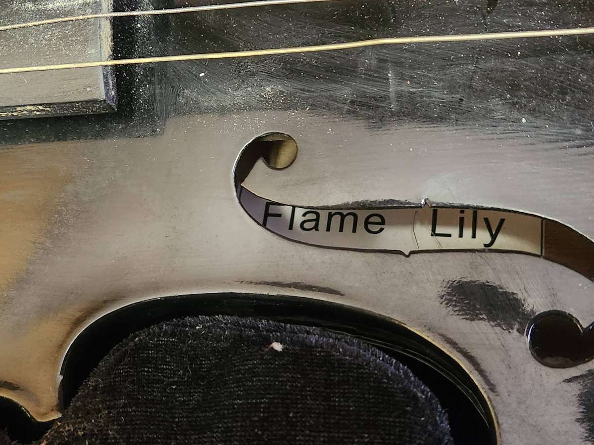 LILY FLAME VIOLIN IN CUSTOM PADDED CASE