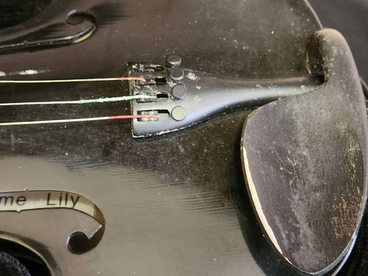 LILY FLAME VIOLIN IN CUSTOM PADDED CASE