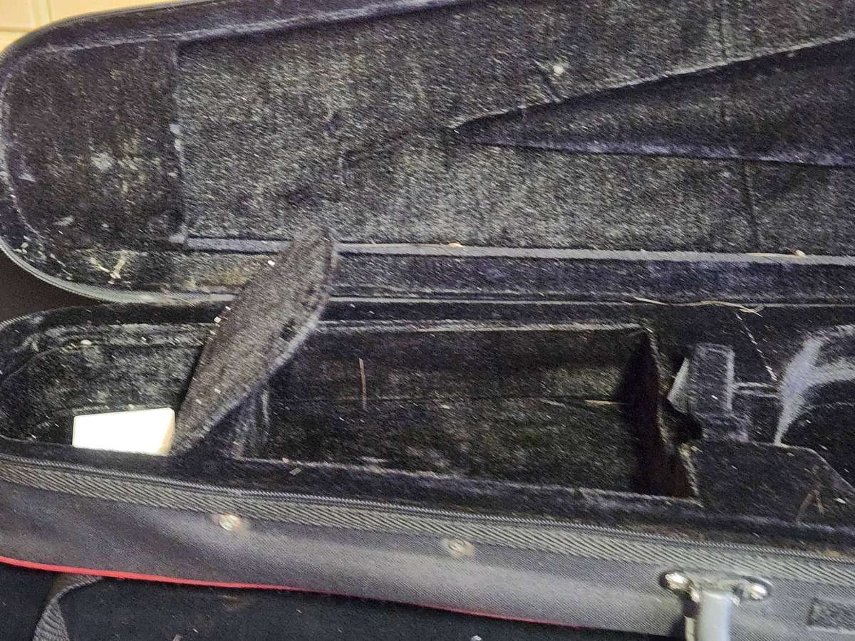 LILY FLAME VIOLIN IN CUSTOM PADDED CASE