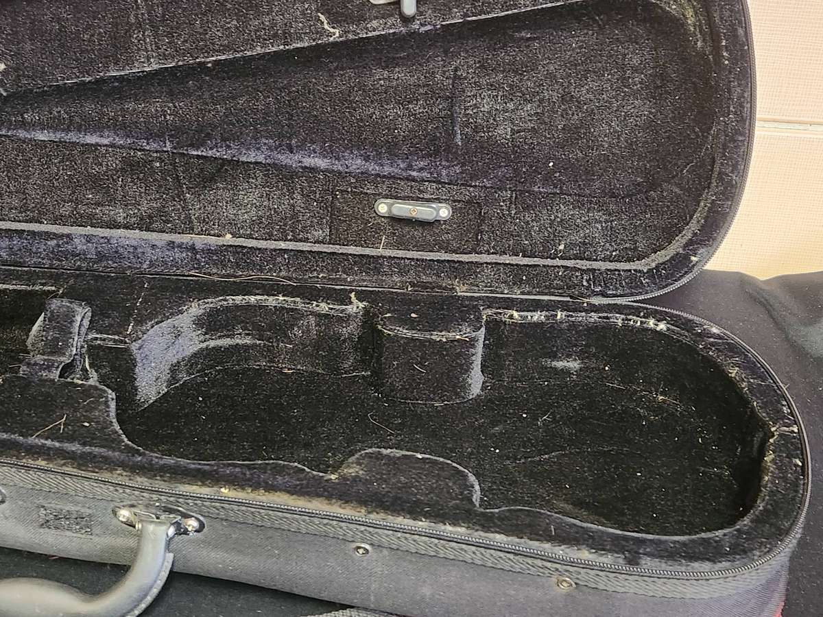 LILY FLAME VIOLIN IN CUSTOM PADDED CASE