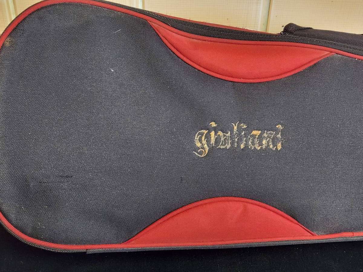 LILY FLAME VIOLIN IN CUSTOM PADDED CASE