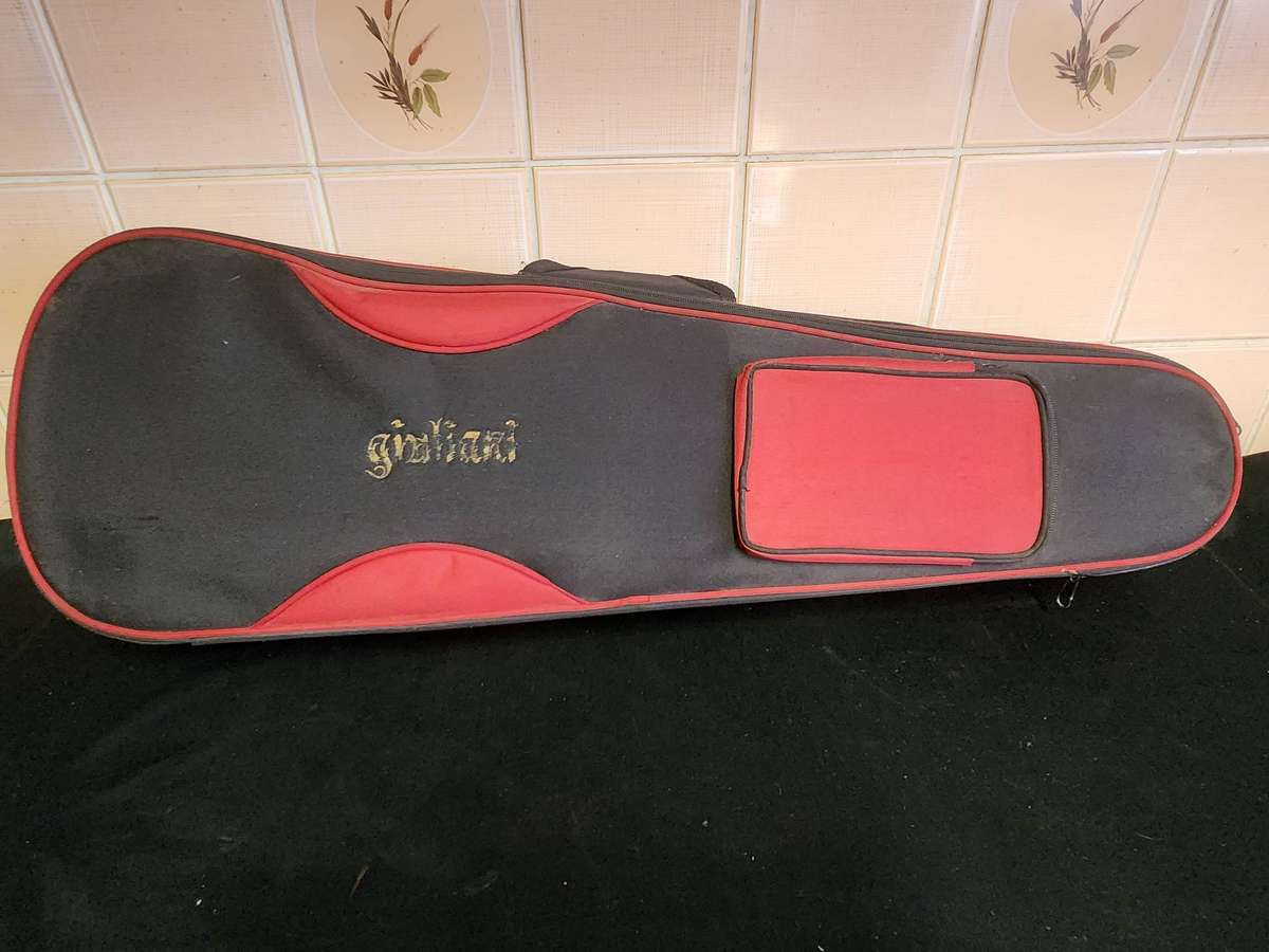 LILY FLAME VIOLIN IN CUSTOM PADDED CASE