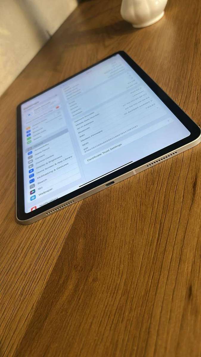 iPad Pro 11