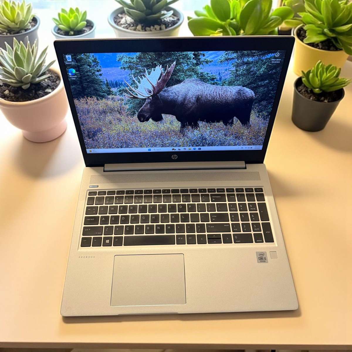 Hp Probook 450 G7 Core  I5 10TH Gen 16GB Ram 256gb fhd display lte mint