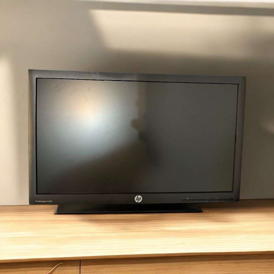 HP ProDisplay P202 20 LED Monitor