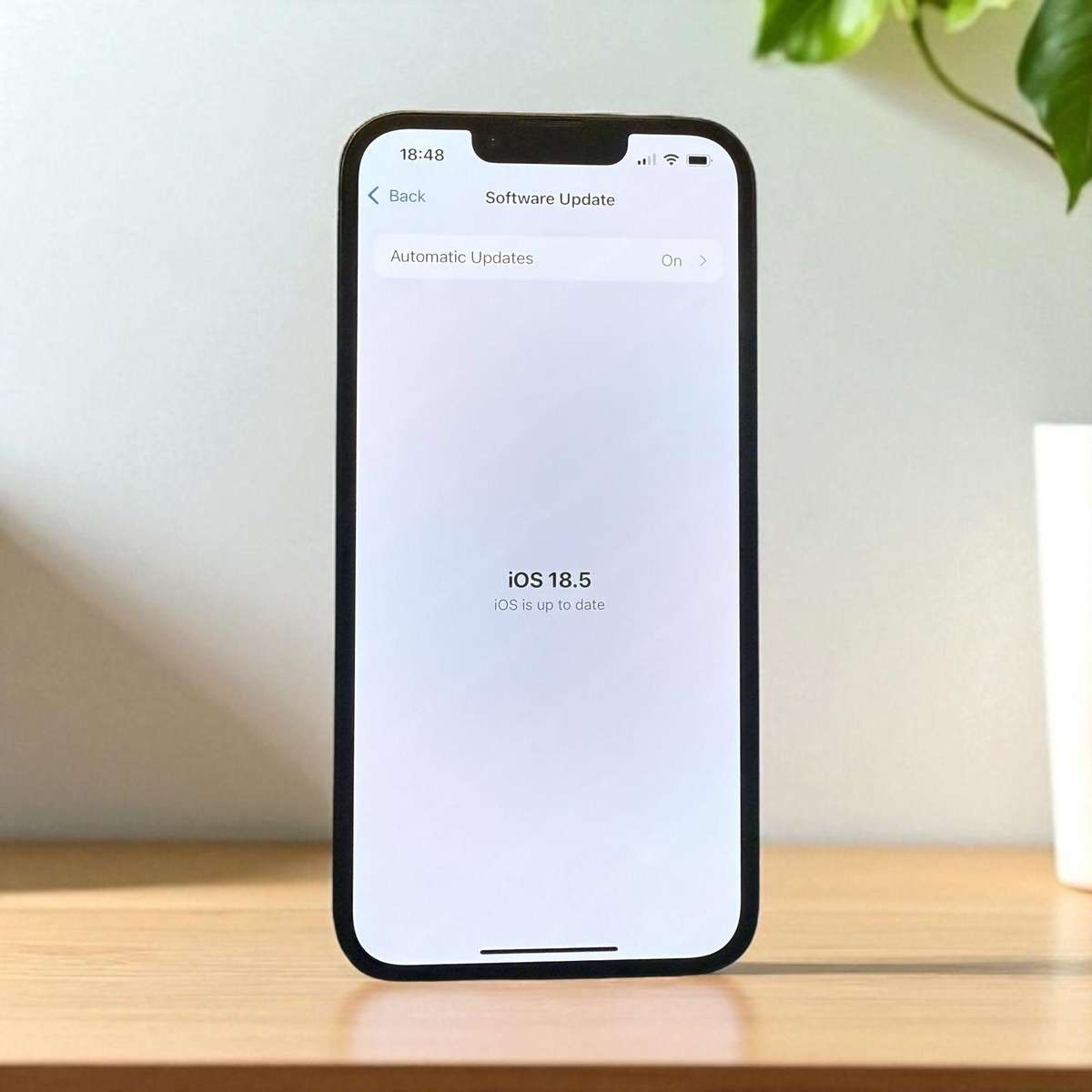 Apple iPhone 13 128GB 81% Battery Health