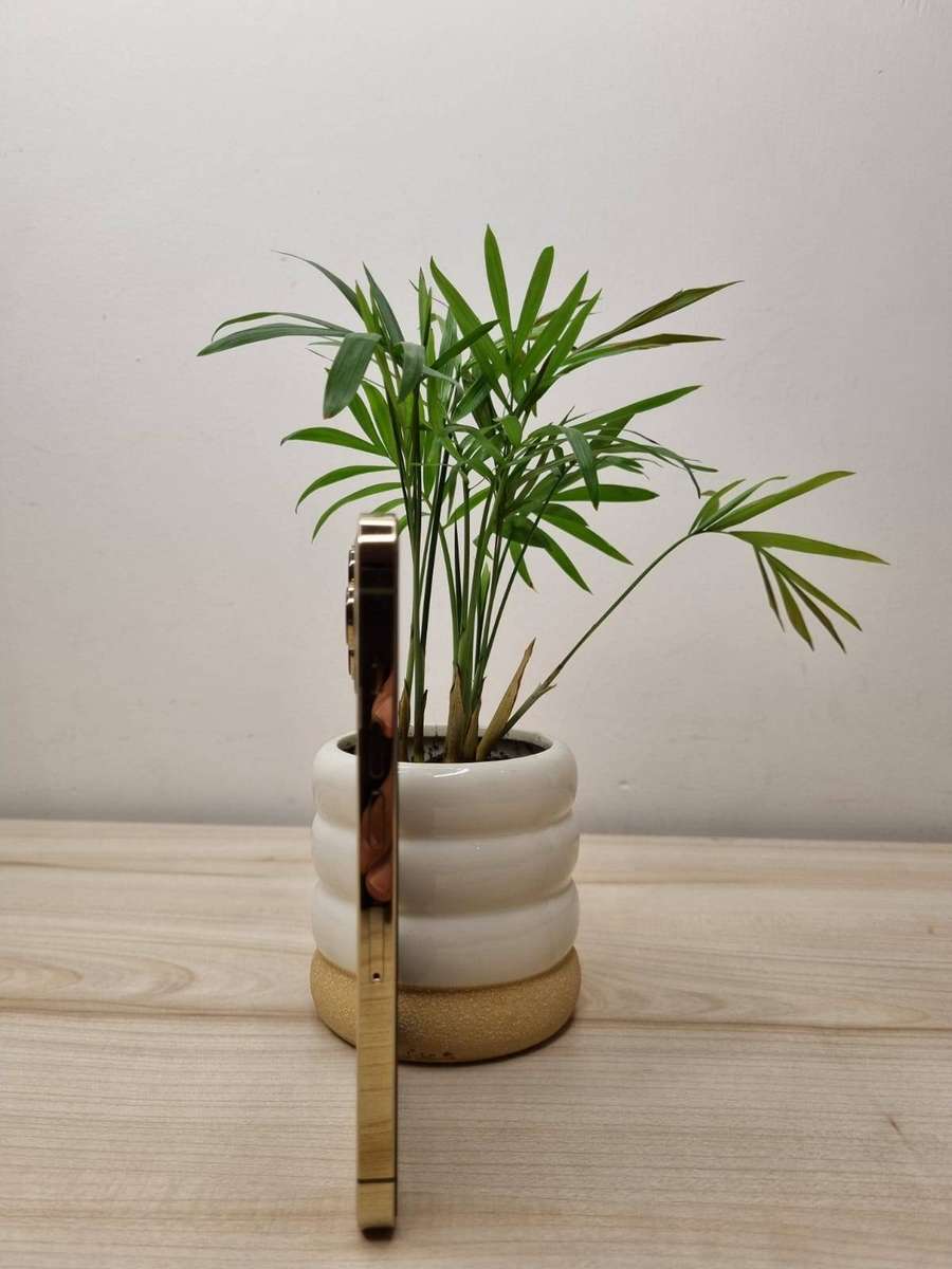 I phone 13 pro 256 gb 100% battery health