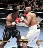 Fight Night Champion (Play Station 3/PS3 Game)