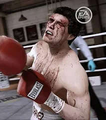 Fight Night Champion (Play Station 3/PS3 Game)