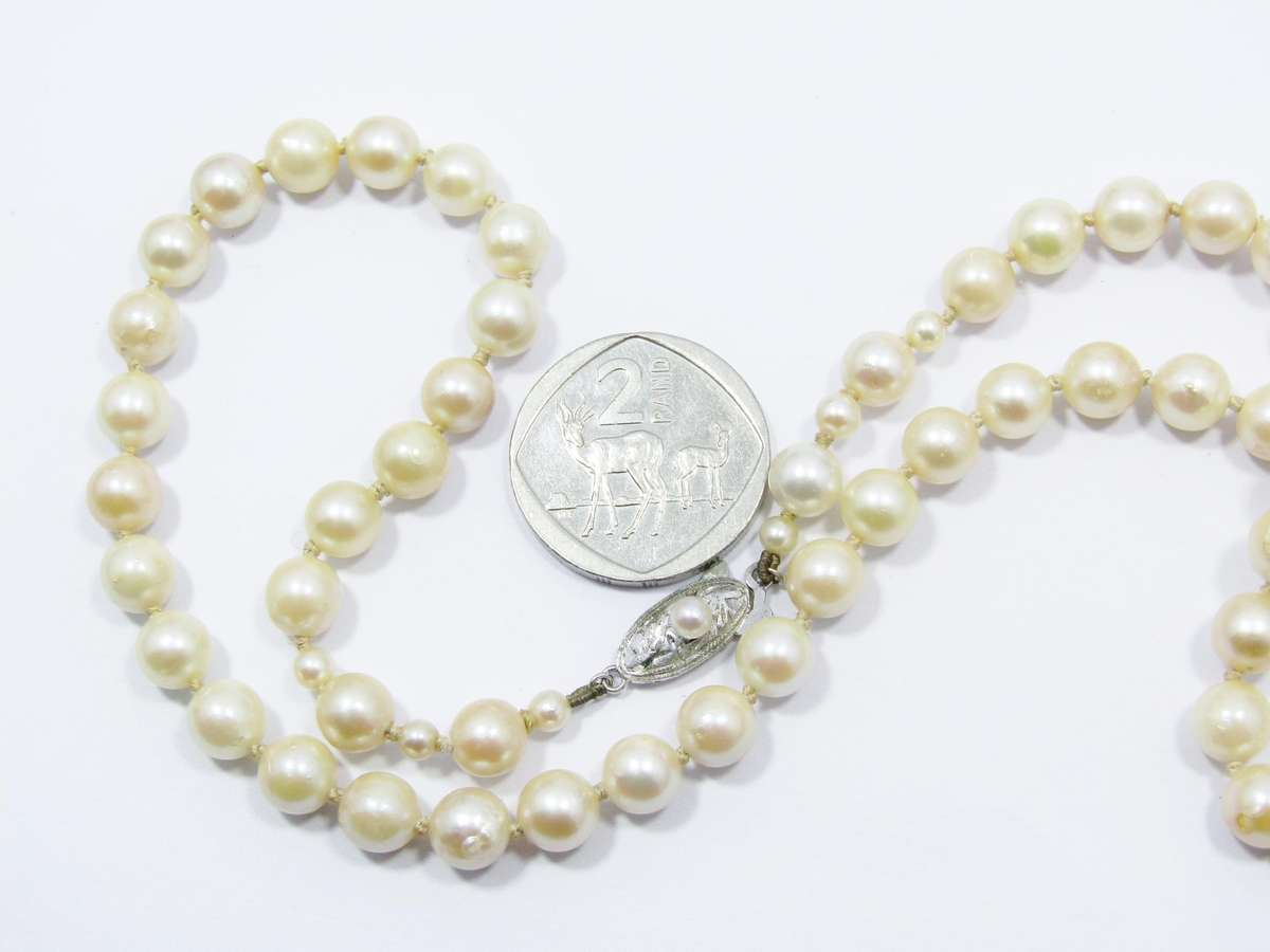 Vintage Cultured Pearl Necklace with Silver Clasp