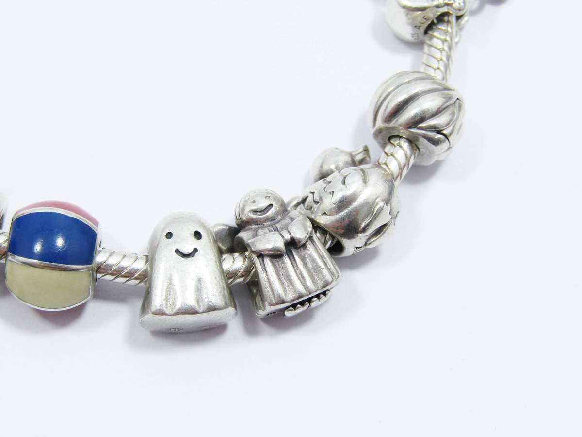 Beautiful! Original Pandora Bracelet with 10 Charms