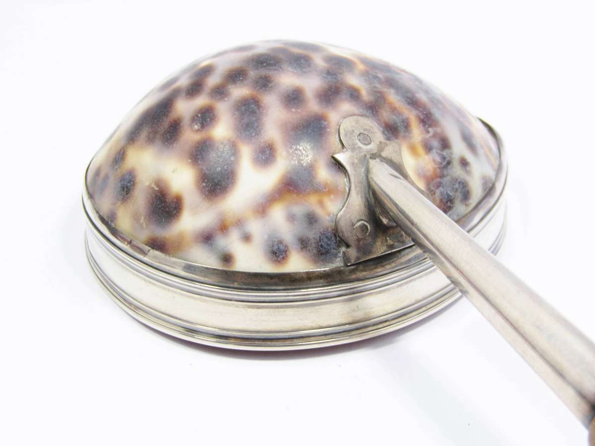 Antique 19th Century Silver-Mounted Cowrie Shell Ladle