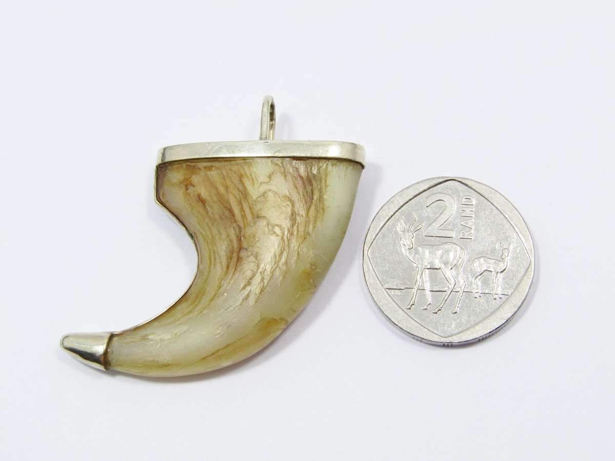 Antique Gilt Silver Large Lion's Claw Pendant