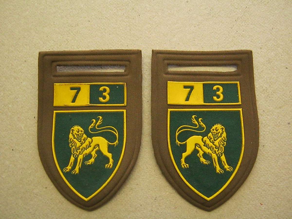 Lot of 10 South African flashes.