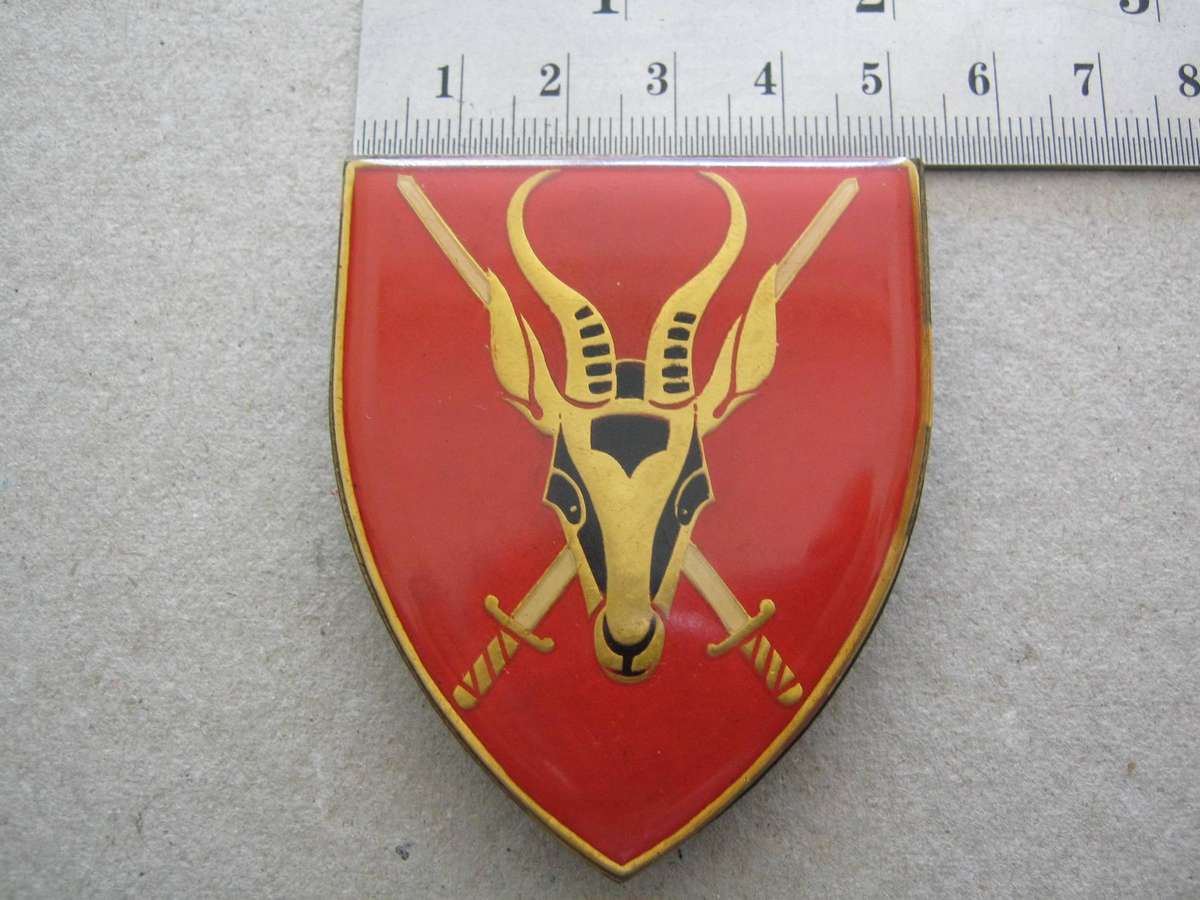 SA Army HQ Flash.