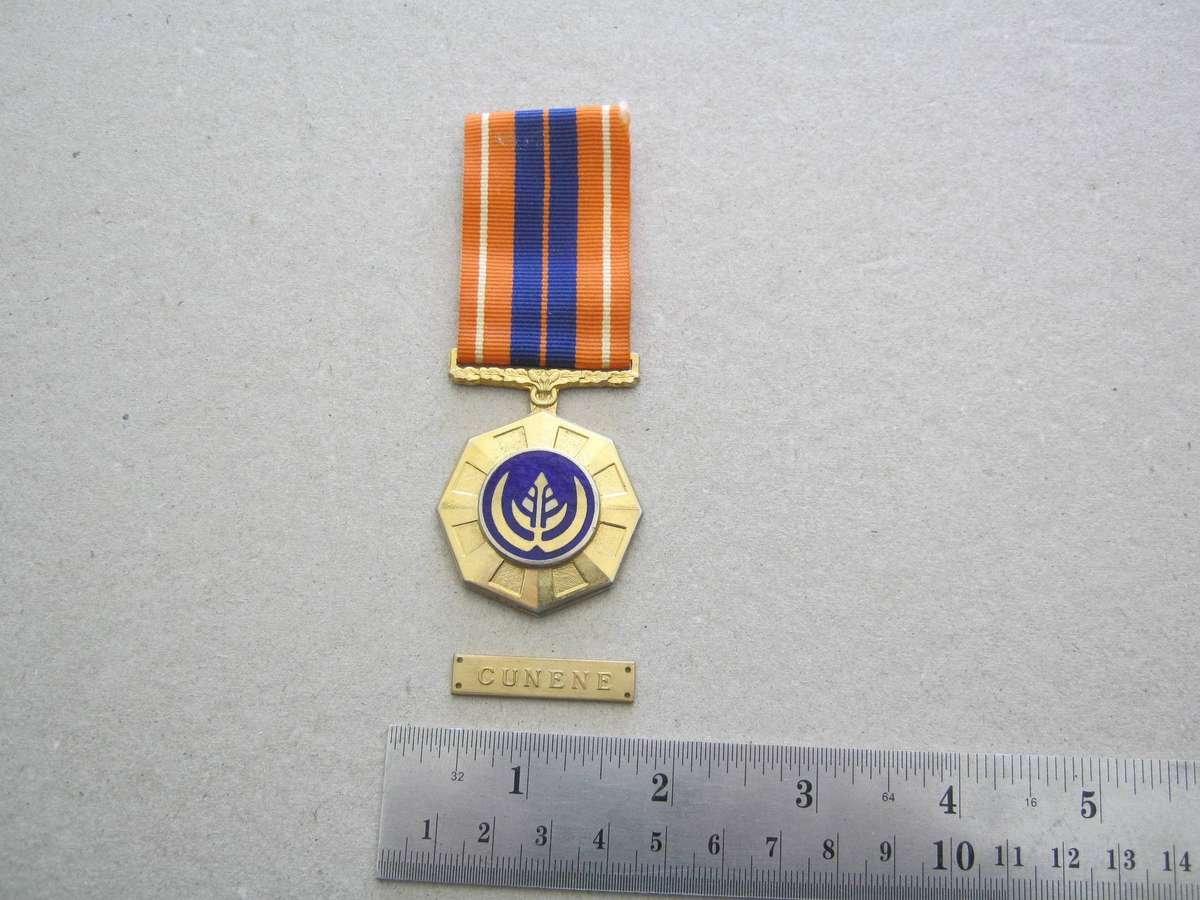 Pro Patria Medal and Cunene Bar.