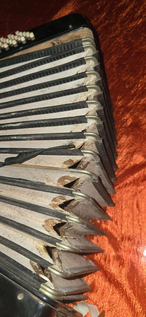 Vintage Frontalini Accordion