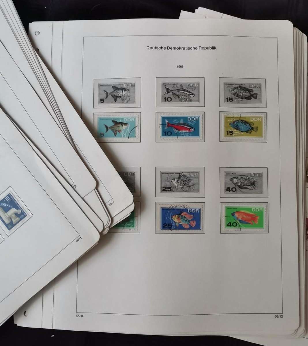 DDR - Album & 100s loose pages