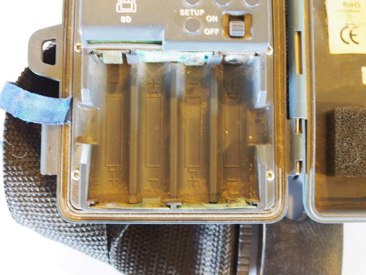 Ranger Trail cameras