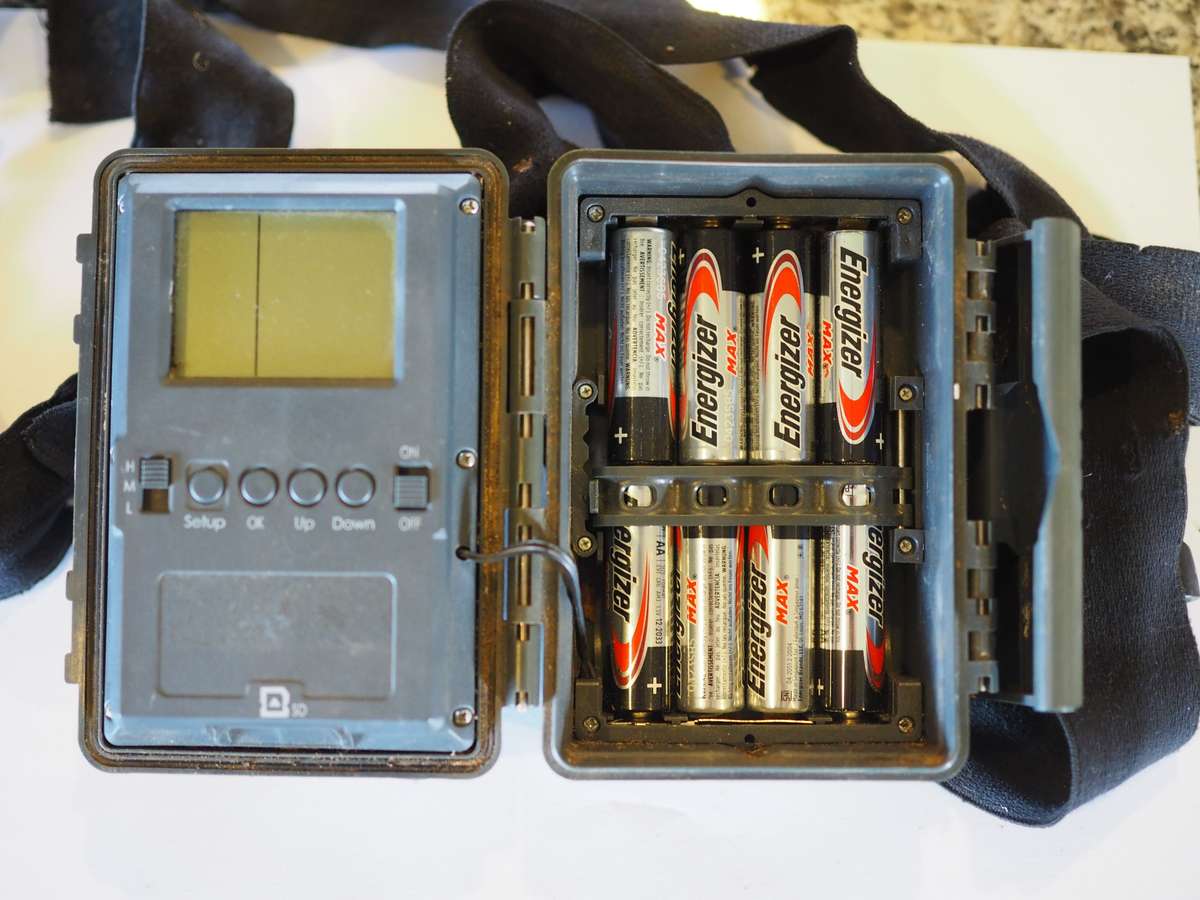 Ranger Trail cameras