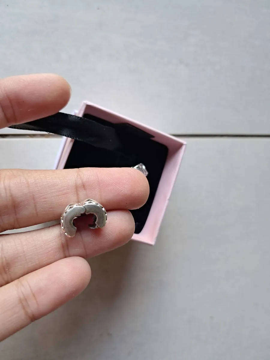 New Pandora clip charms x 2