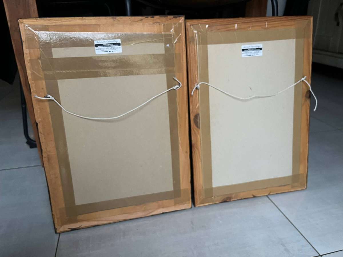 2 x Antoinette Ohlenschlager paintings