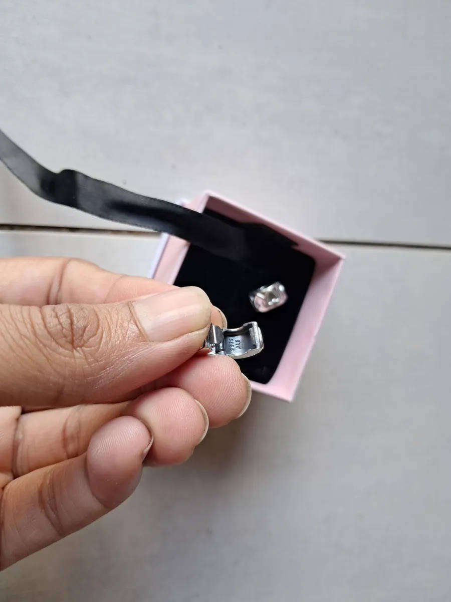 New Pandora clip charms x 2