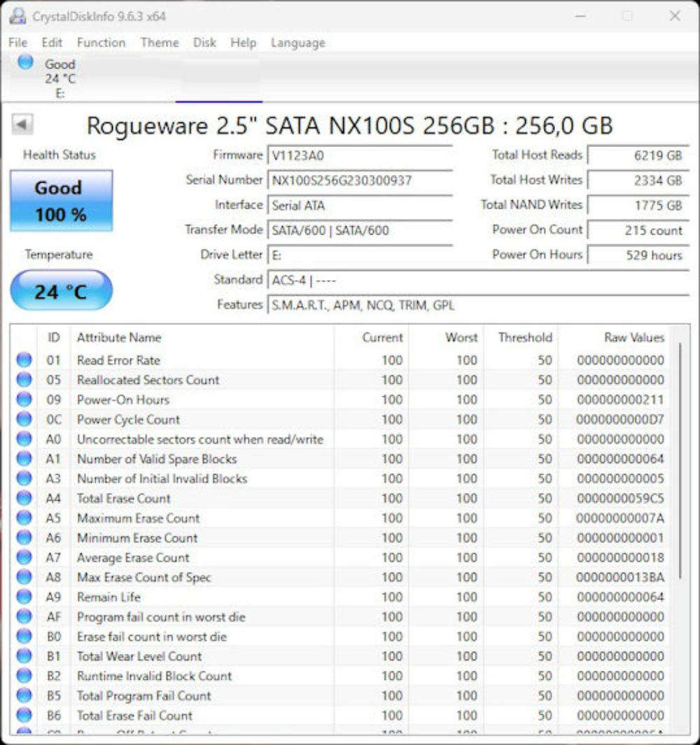 Rogueware SSD NX100S 256GB