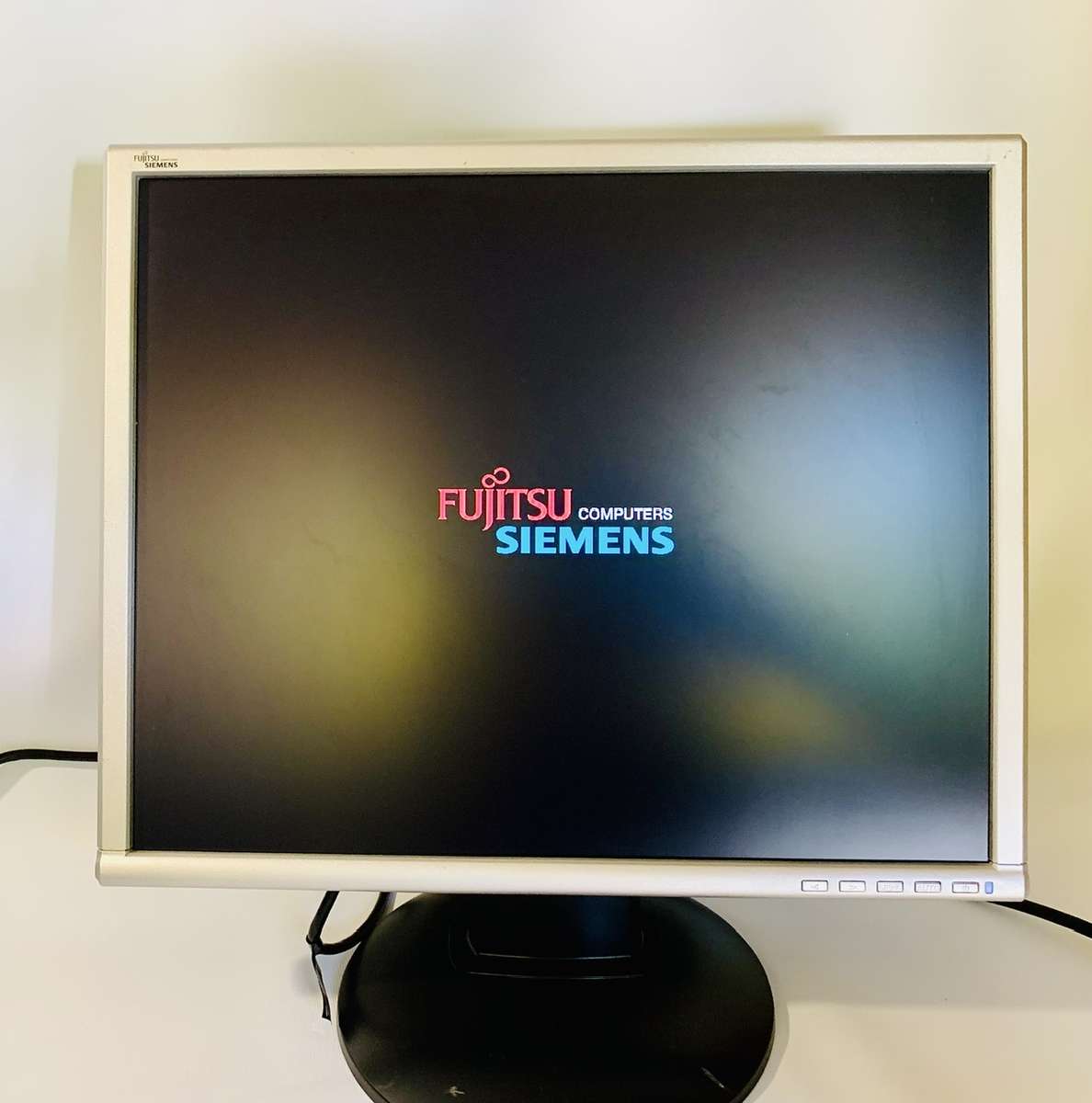 Fujitsu Scaleoview 19-inch LCD Monitor