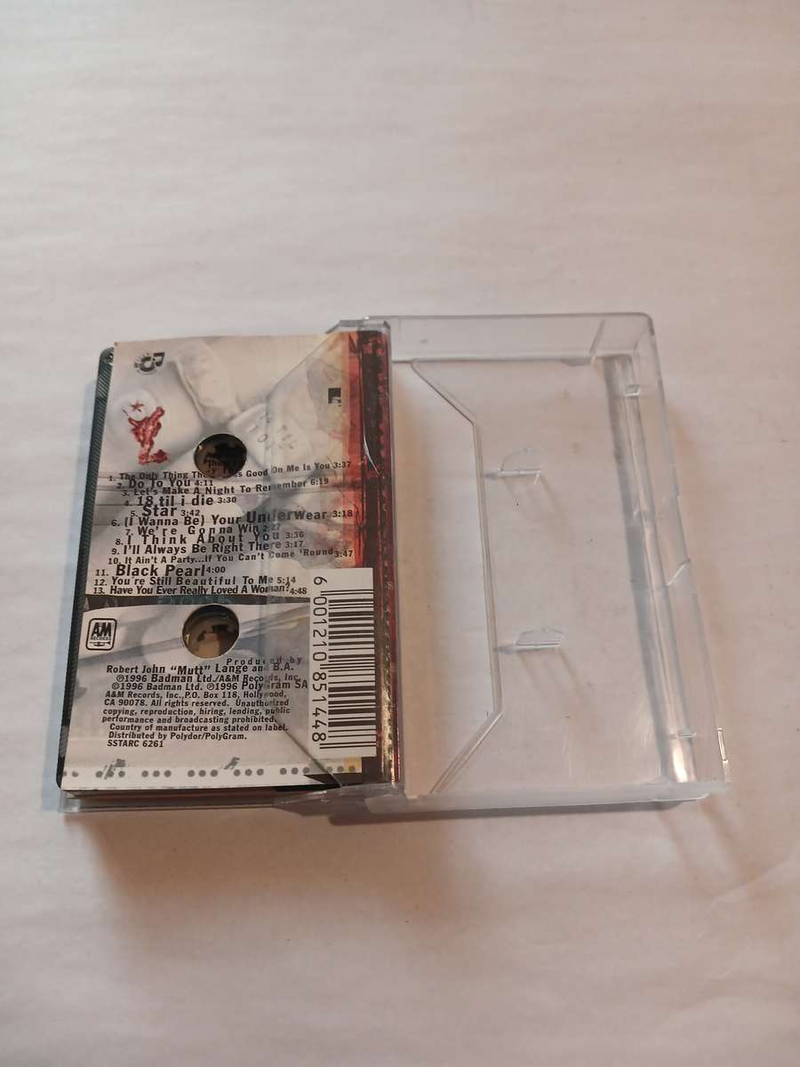Bryan Adams, 18 Til I Die Cassette