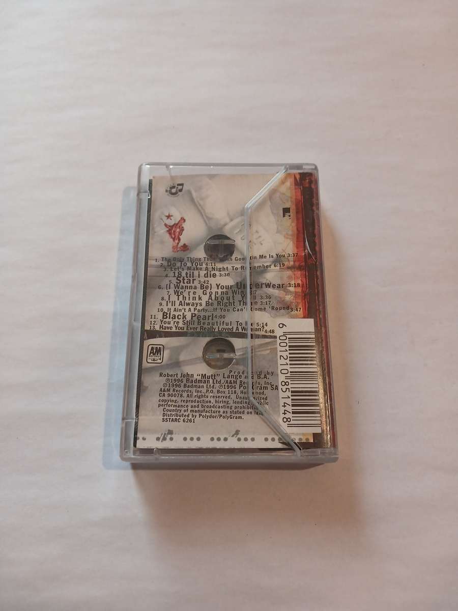 Bryan Adams, 18 Til I Die Cassette