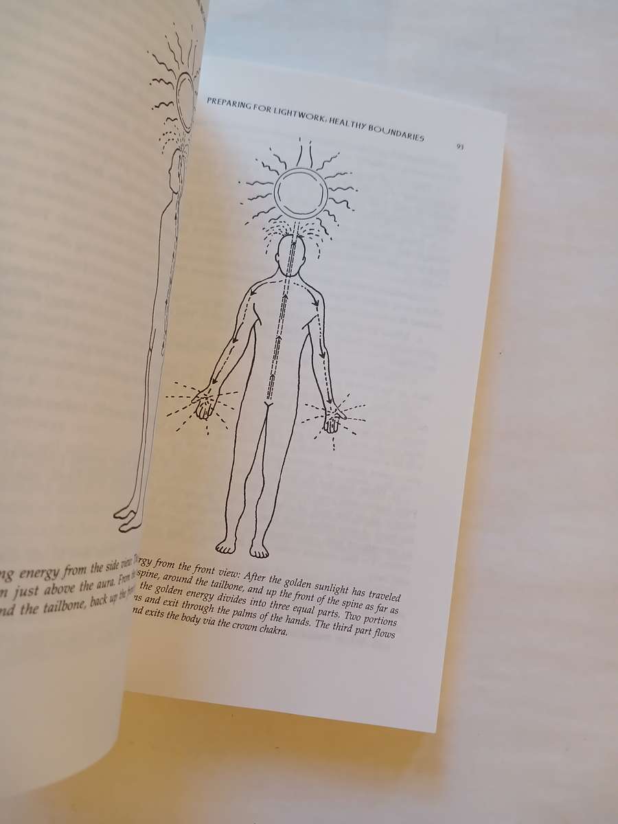 The Pleiadian Workbook, Awakening Your Divine Ka by Amorah Quan Yin