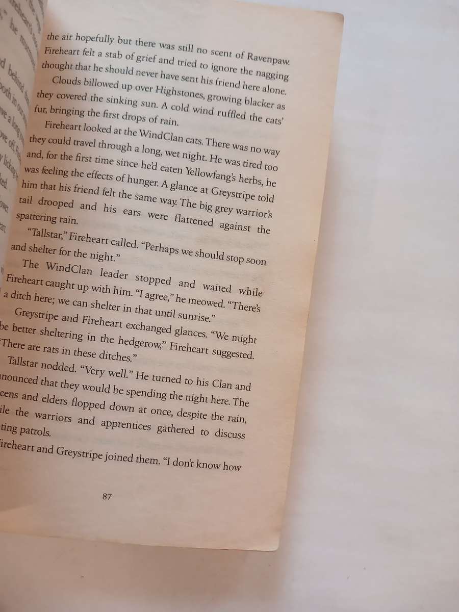 Warrior Cats, Fire and Ice by Erin Hunter