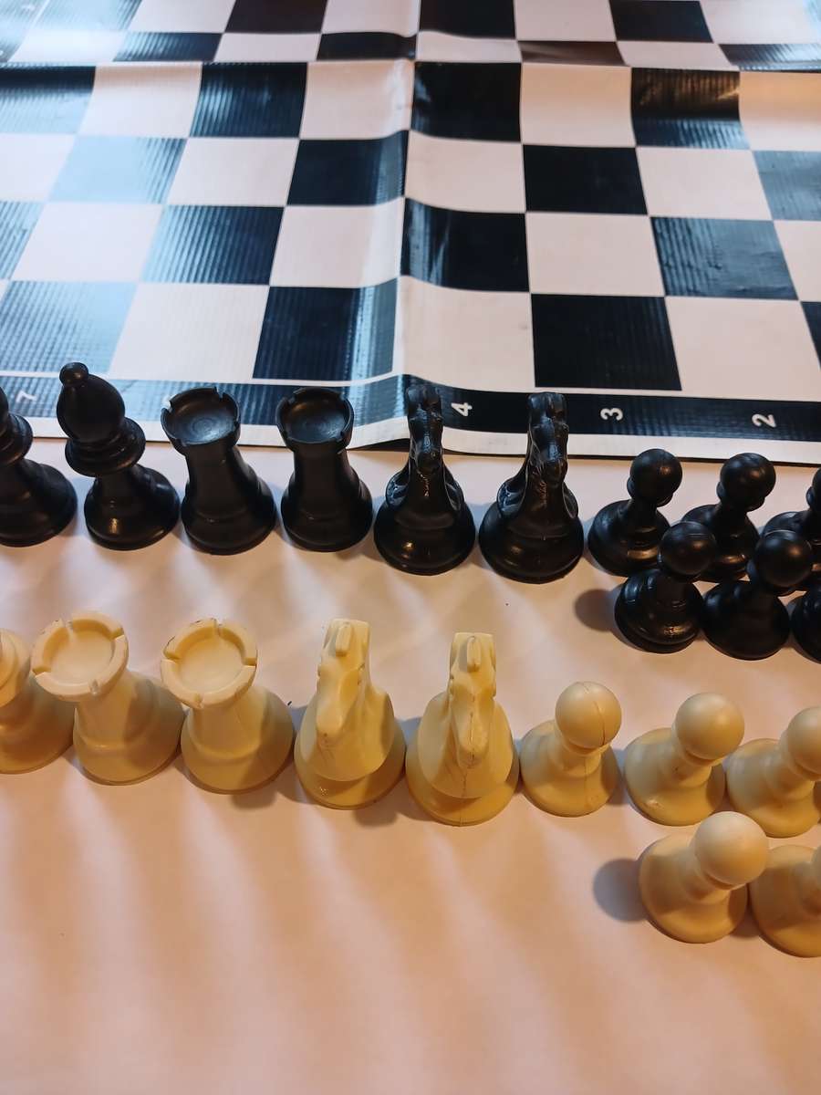 Chess Set with 50cm Silicone Foldable Mat