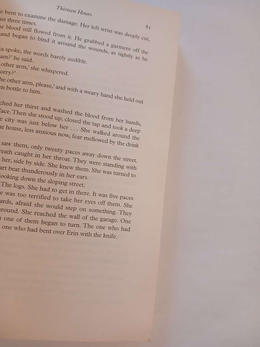 Thirteen Hours by Deon Meyer