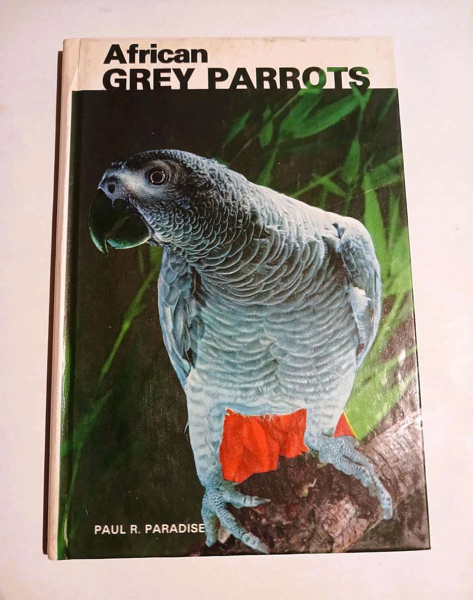 African Grey Parrots by Paul R. Paradise