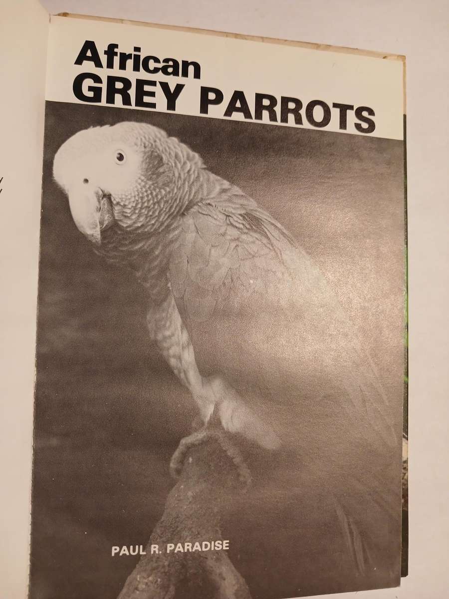 African Grey Parrots by Paul R. Paradise