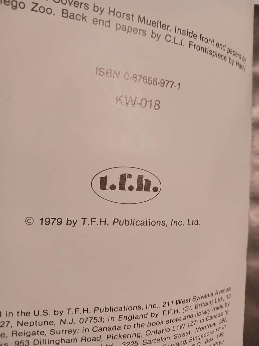 African Grey Parrots by Paul R. Paradise