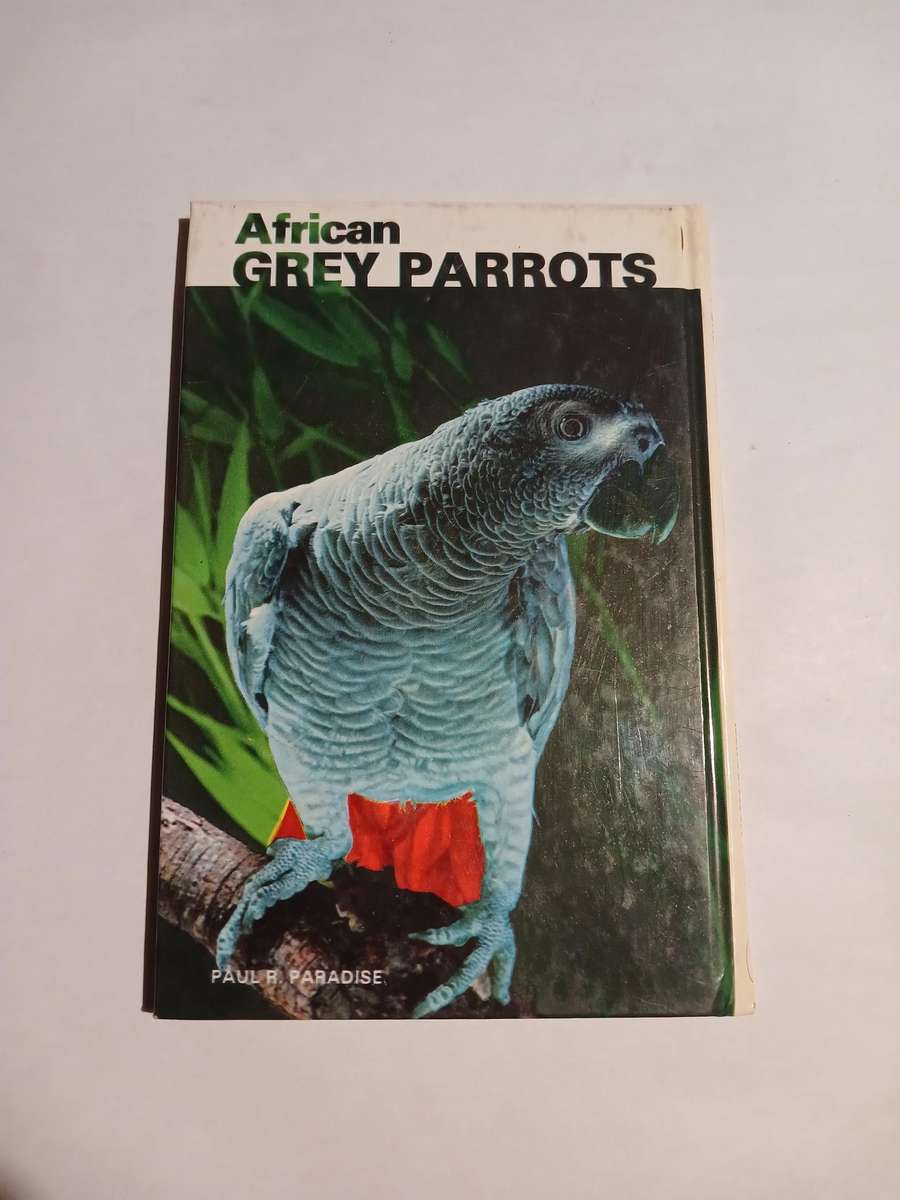 African Grey Parrots by Paul R. Paradise