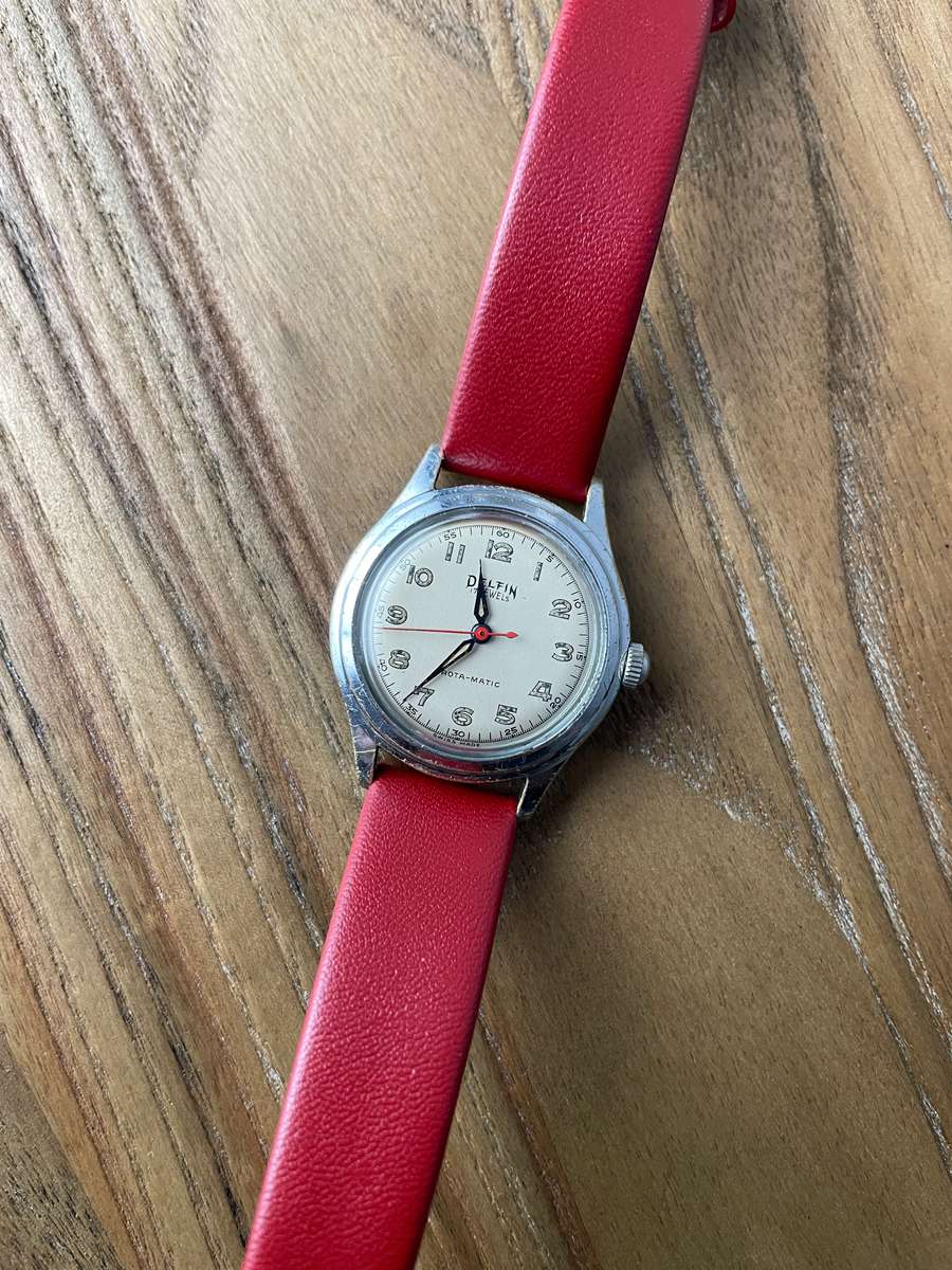 Delfin 17 Jewels Vintage Watch
