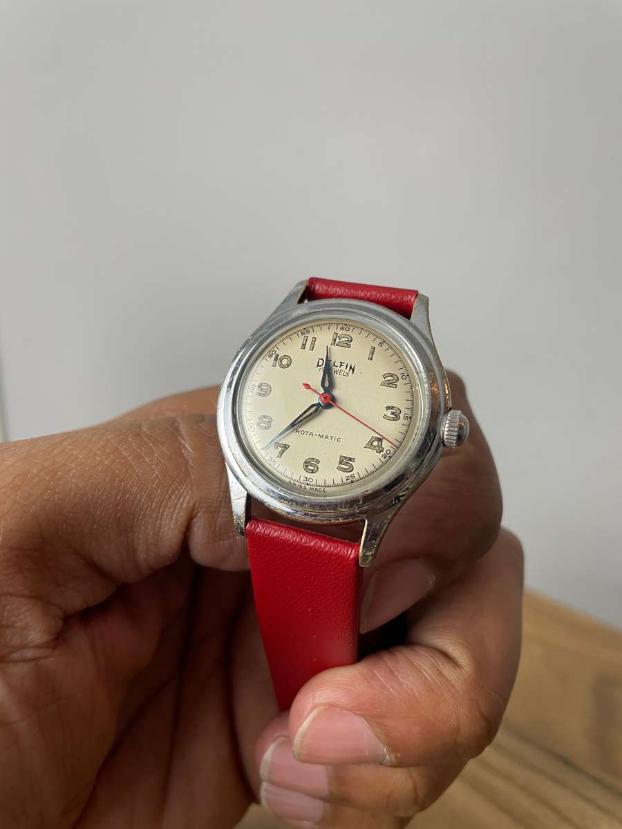 Delfin 17 Jewels Vintage Watch