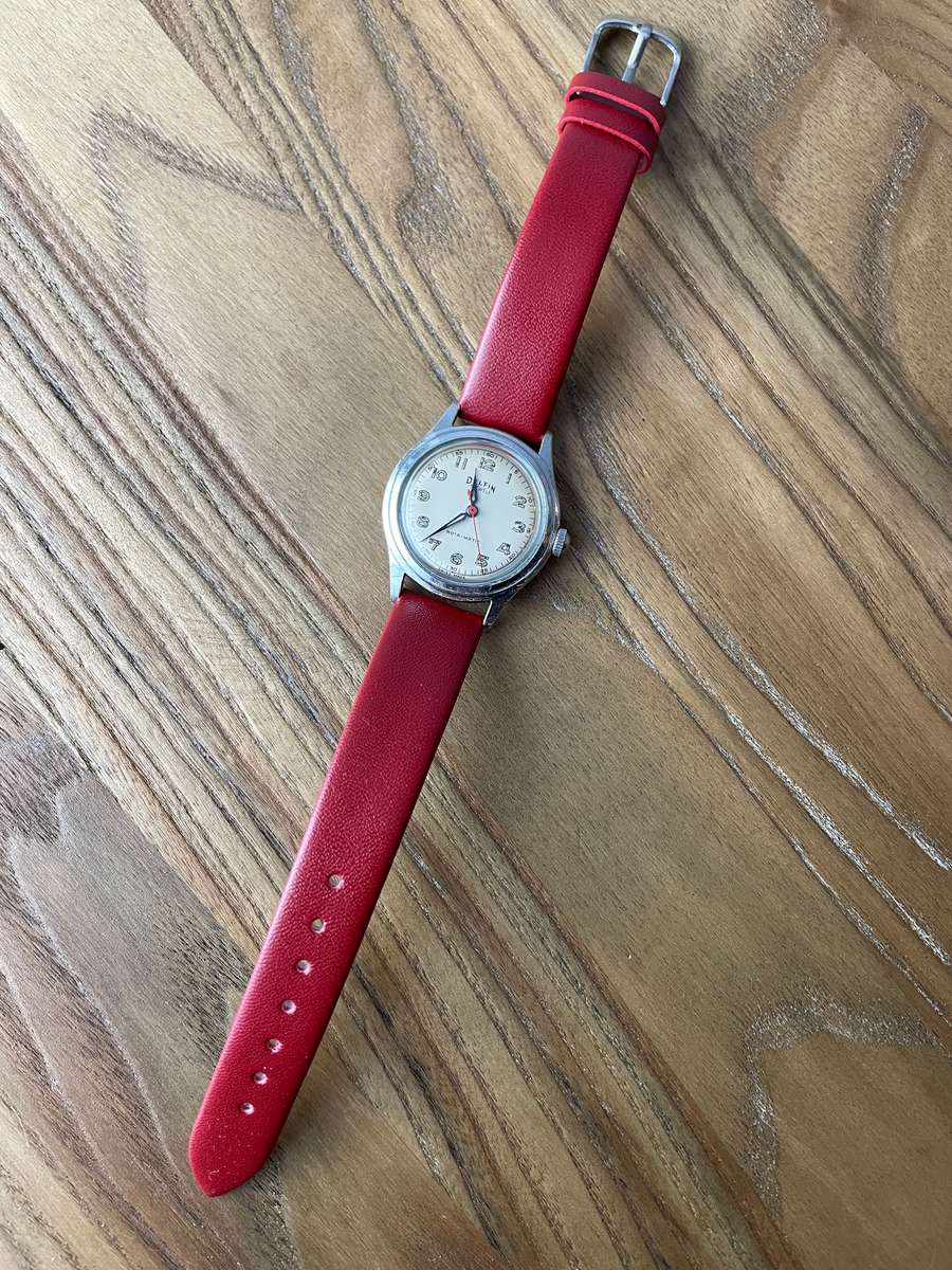 Delfin 17 Jewels Vintage Watch