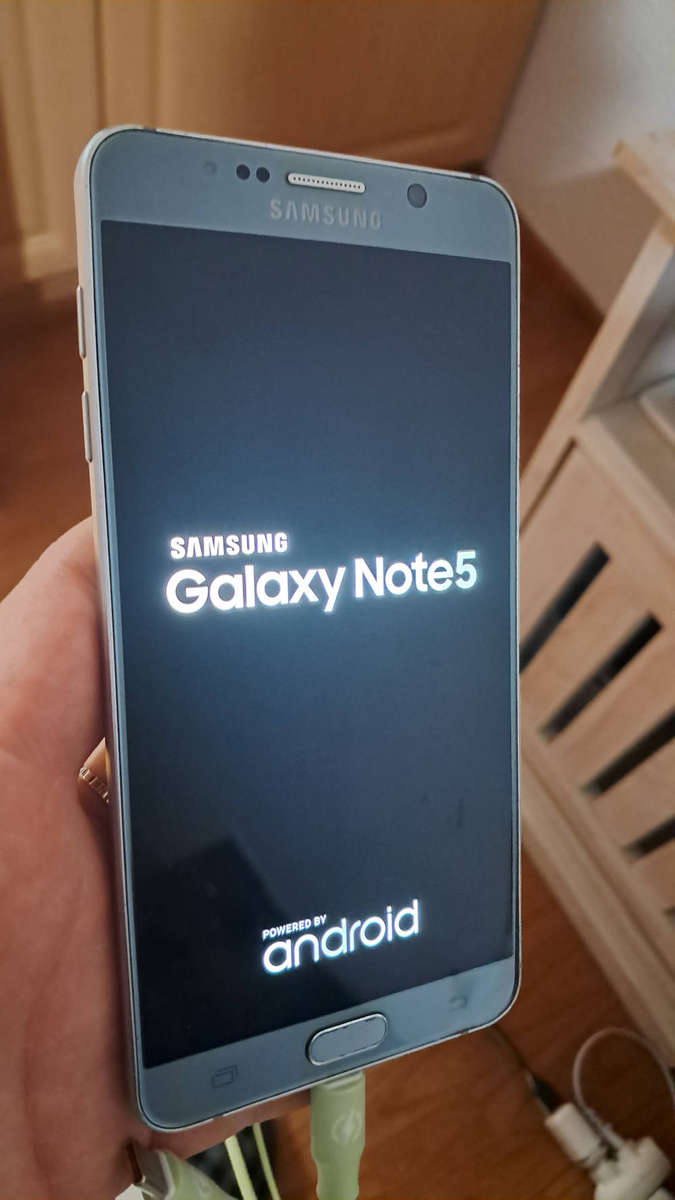 Samsung Galaxy Note 5 (cracked back cover)