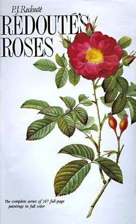 Redoute's Roses (1555216838)