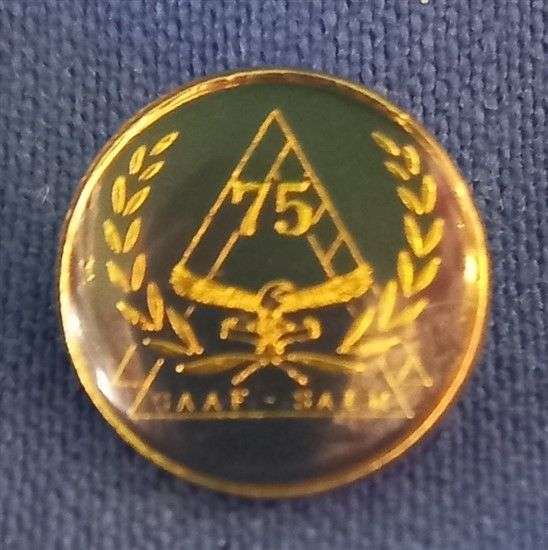 SAAF 75 Glazed Pin (PIN308)