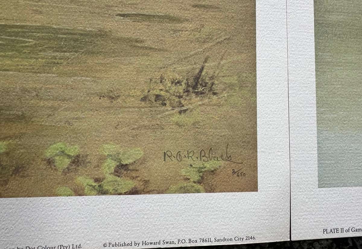 SIGNED, NUMBERED! 1 x COLLECTION OF 4 PRINTS BY RAY BLACK, SOUTH AFRICAN GAME BIRDS