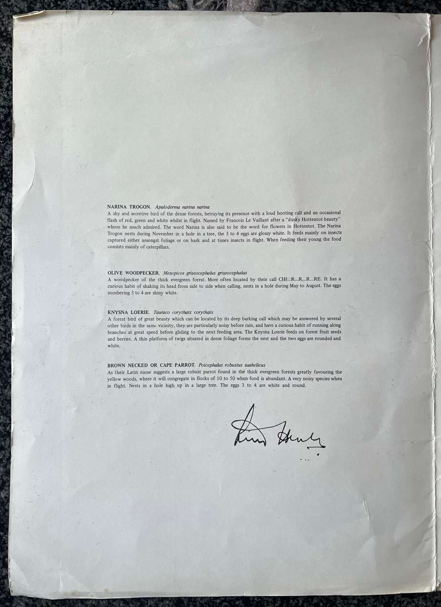 1 x COLLECTION OF 4 PRINTS "BIRDS OF AFRICA: SERIES 1 FOREST BIRDS" BY PRISCILLA HENLEY