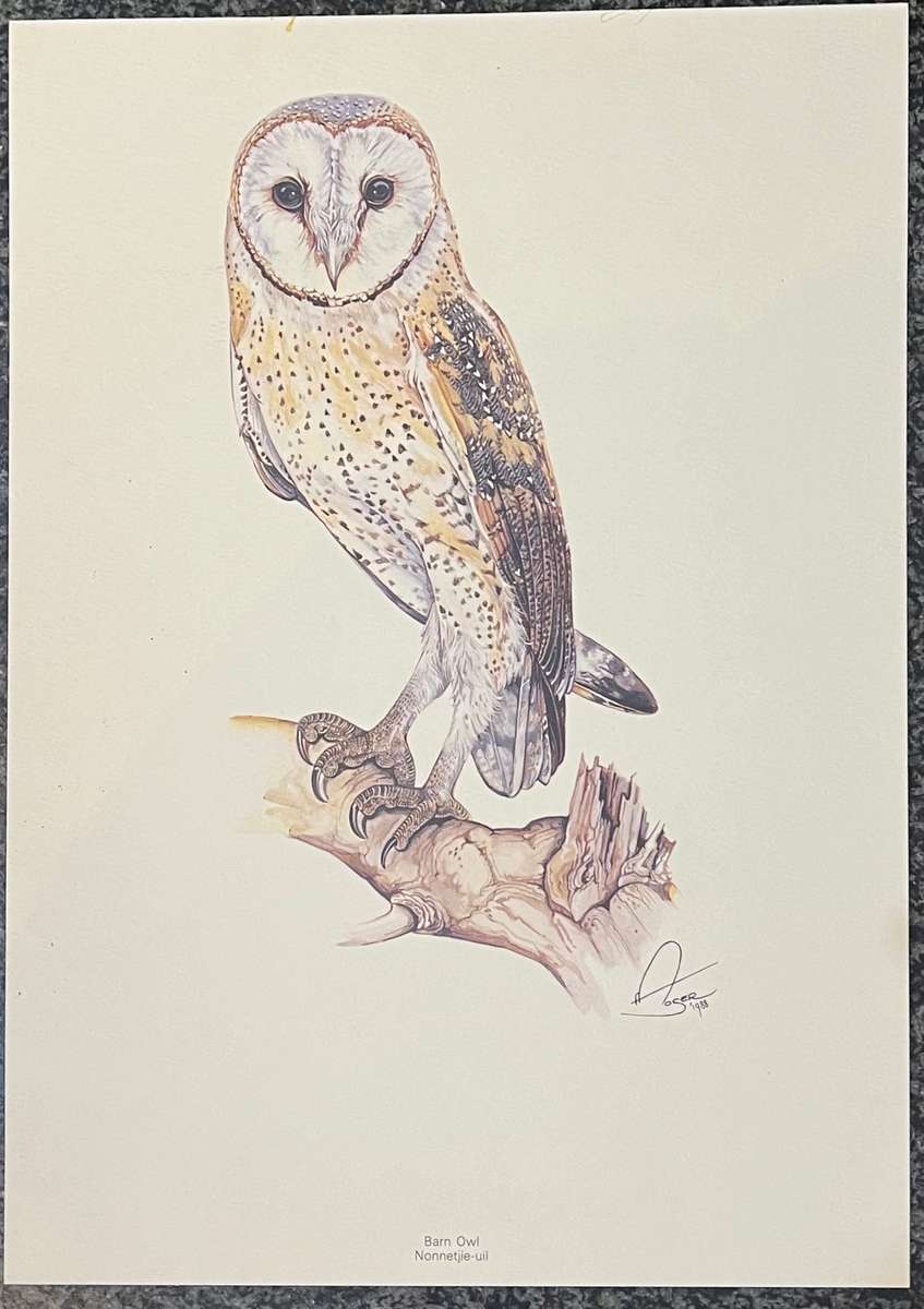 1 x COLLECTION OF 4 PRINTS "BIRDS OF AFRICA: SERIES 1 FOREST BIRDS" BY PRISCILLA HENLEY