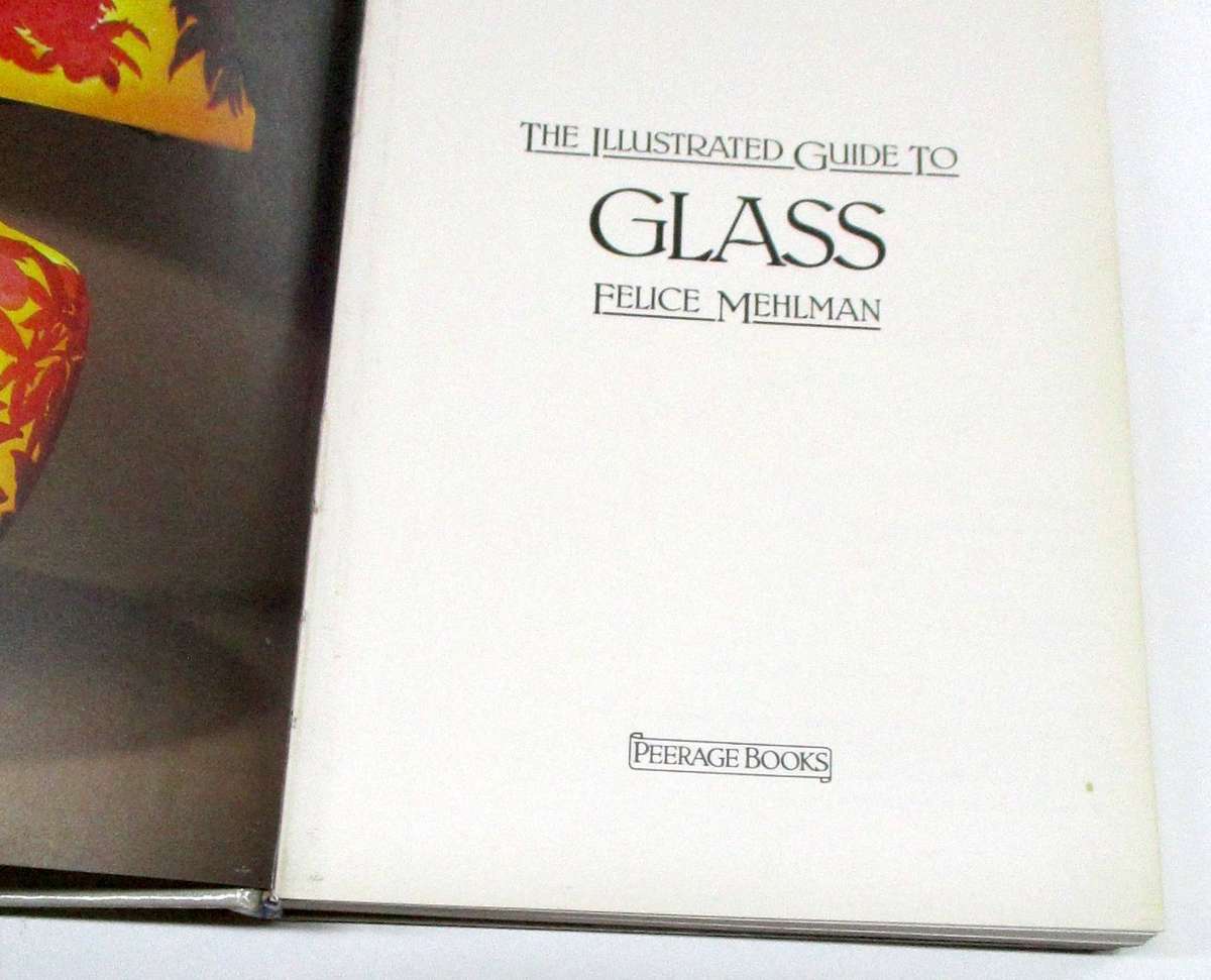 The illustrated guide to glass - Felice Mehlman