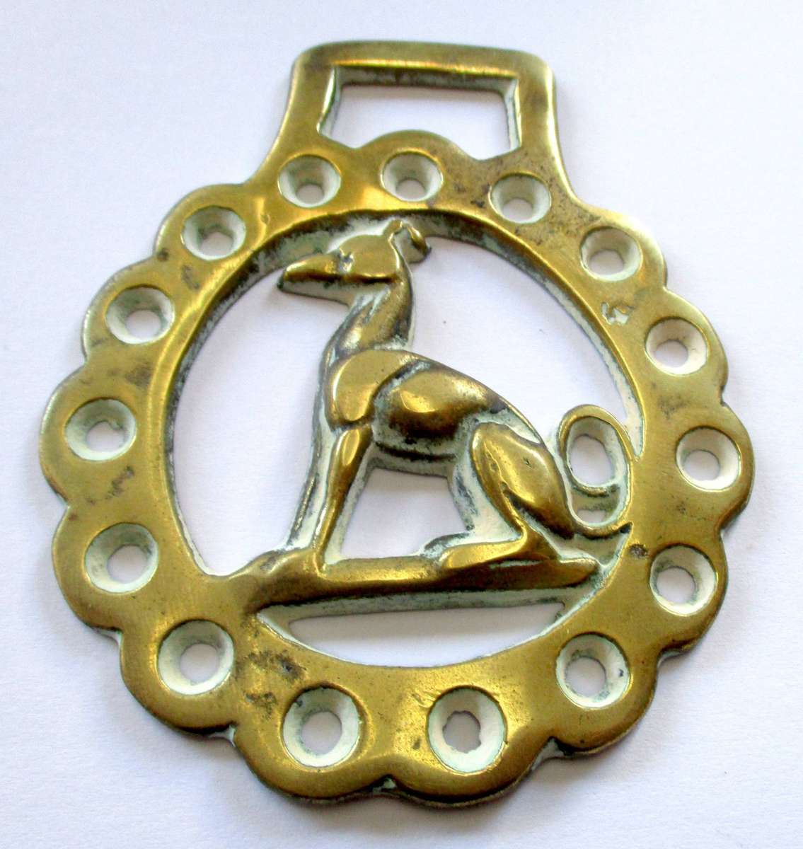 Antique / vintage Horse Brass - Greyhound - England